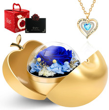 Forever Rose for Valentines' day Preserved Real Roses with Heart Necklace