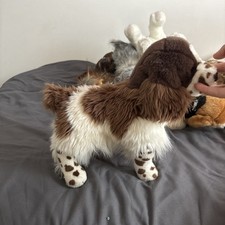 OGILVY SPRINGER SPANIEL Retired Plush Brown Dog Douglas Cuddle New 2027 Basspro