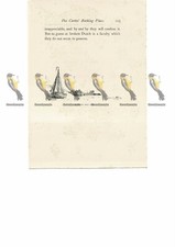 Egmon Aan Zee, Holland, Book Illustration (Print), 1889