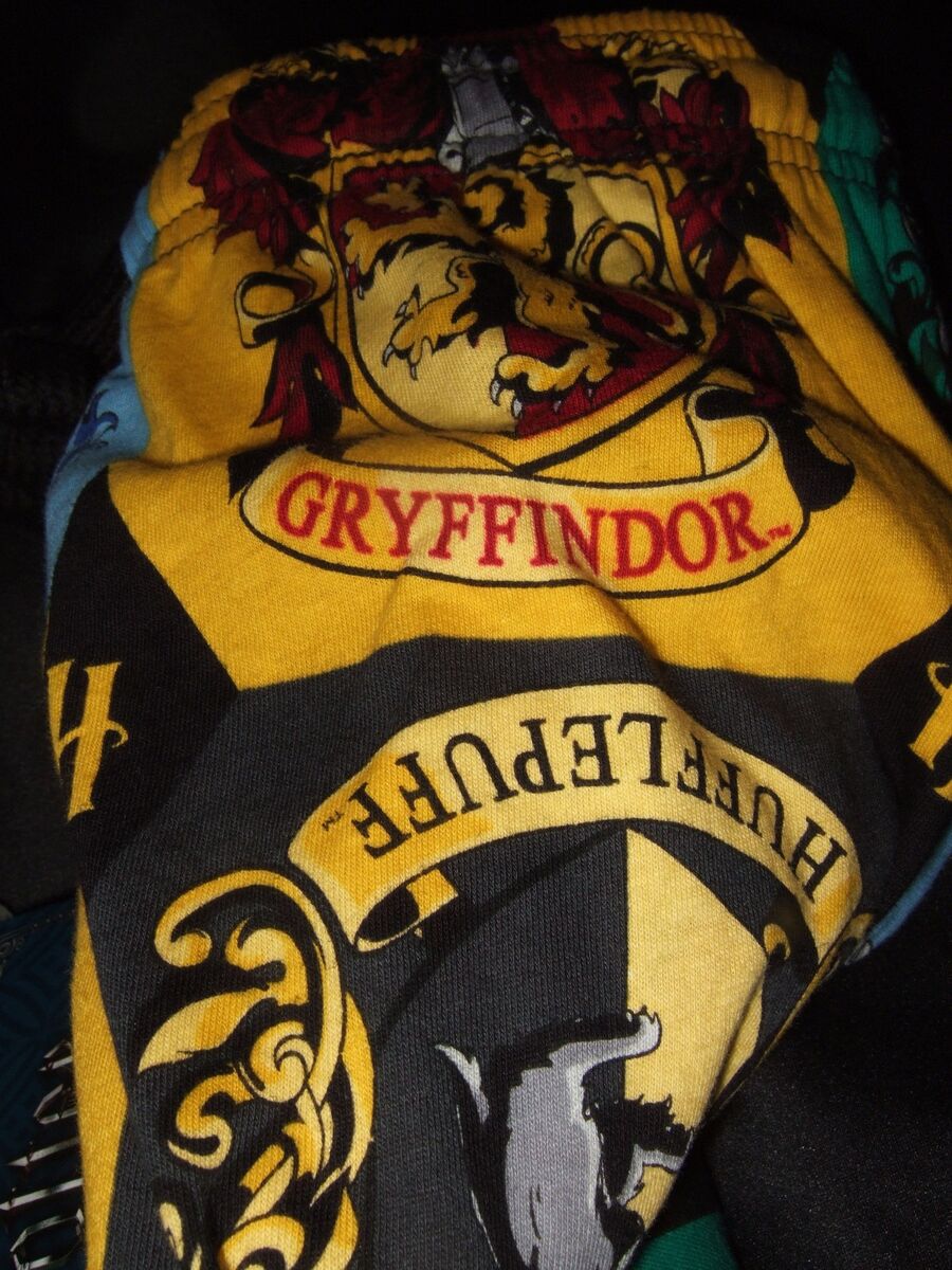 Botton - Grifinória Gryffindor Harry Potter Casa Hogwarts