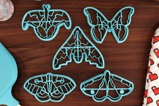 Moth Cookie Cutters Set 2 - Ailanthus Silkmoth, Atlas Moth, Cinnabar Moth, Io