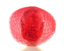 Red Hat Church Derby Dress Tea Party Wide Brim Flower Ostrich Plume Society Lady