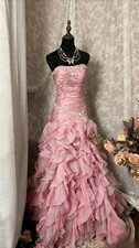 Blush Pink Strapless Prom Dress Evening Gown Formal Dress Prom Dress Contoured