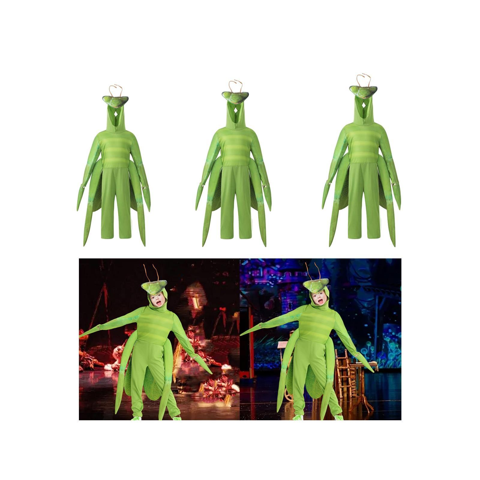 Disfraz de Mantis para Vestir para una Fiesta Temática de Rol en Escenario