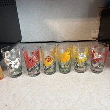 Vintage Boscul Peanut Butter Glasses Columbine, Daffodil ,Tulips, Christmas Rose