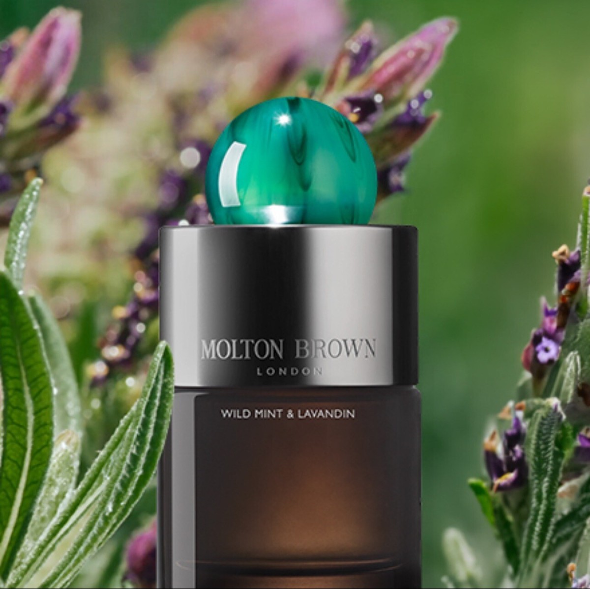 香水(ユニセックス) MOLTON BROWN WILD MINT & LAVANDIN 100ml Molton Brown WILD MINT & LAVANDIN Eau de Parfum 3.3oz/100ml | eBay