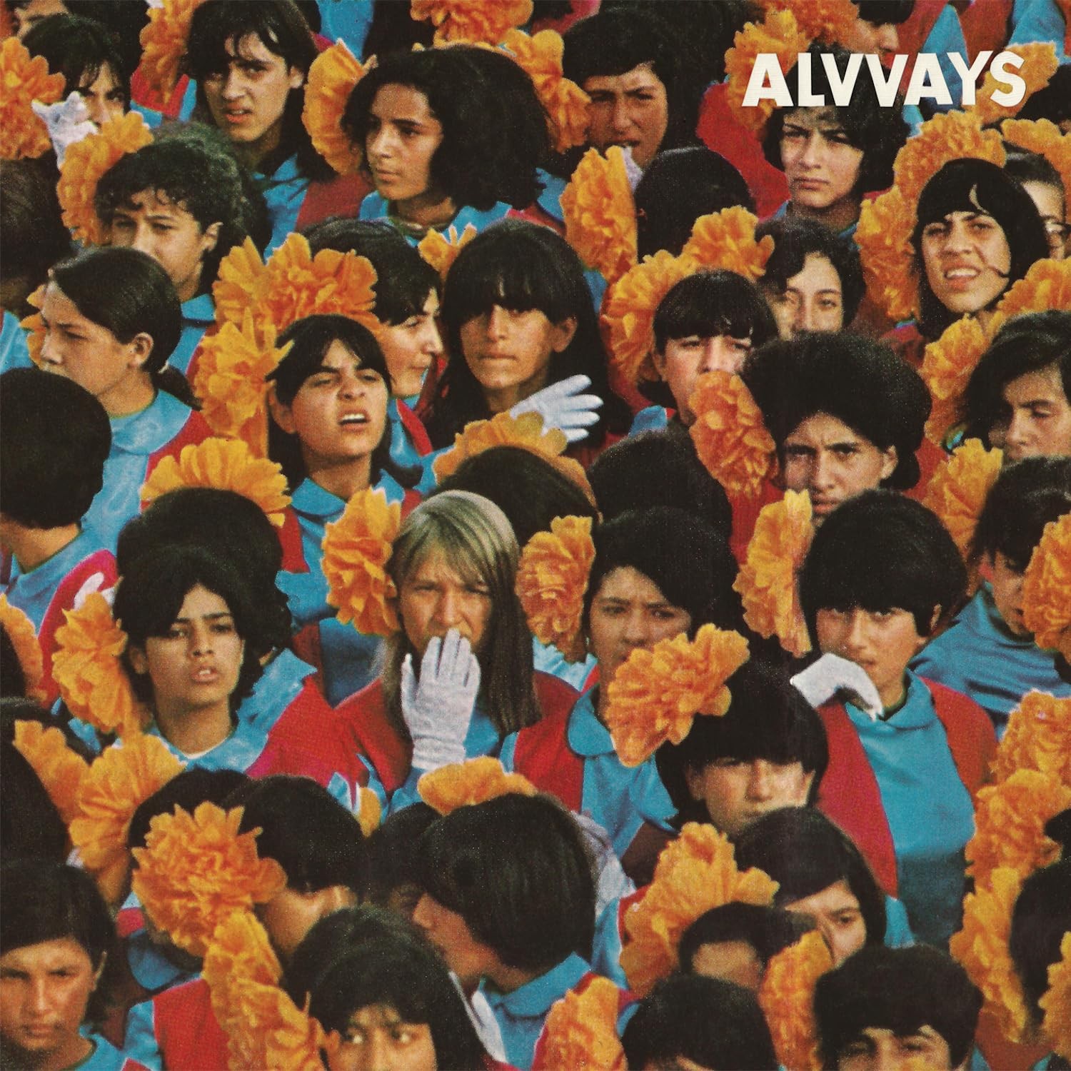 Alvvays Alvvays (Vinyl LP)