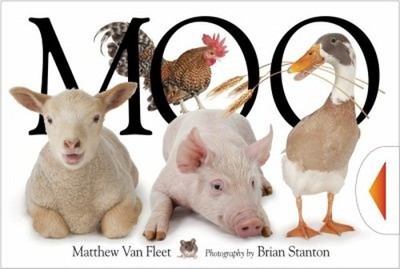 Moo Novelty Matthew Van Fleet