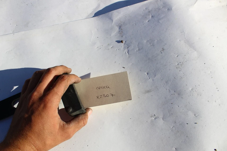 00-05 CELICA GT GTS FRONT BUMPER LICENSE PLATE BASE BRACKET X2307 - Image 2 of 4