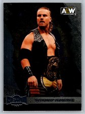 Hangman Adam Page 2022 SkyBox Metal Universe AEW WRESTLING #1