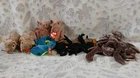 Ty Vintage Beanies Battie, Tiptoe, Hissy, Stinger, Spinner, Lot( 10) Mint w/tags