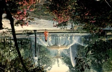 Forsyth Park in Savannah, Georgia during Azalea Season Postcard