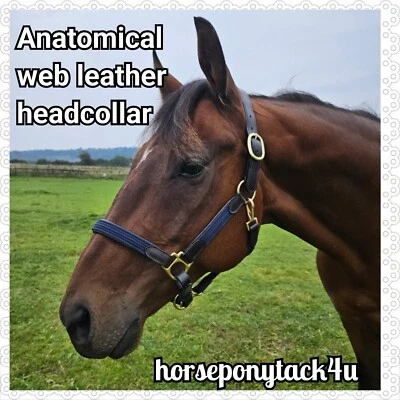 SHELDON TRADITIONELLER WEB LEDER KOPFKRAGEN, BRAUN ODER SCHWARZ PREMIUM WEICHES LEDER 3 FARBEN