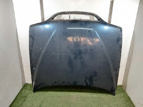 6102005080 Campana SSANGYONG MUSTO 2.3 TDI Lux 2000 5483948 - Imagen 2 de 10
