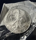American Eagle Silver $1 Coin 2001 Uncirculated 1 oz .999 Fine Silver Littleton