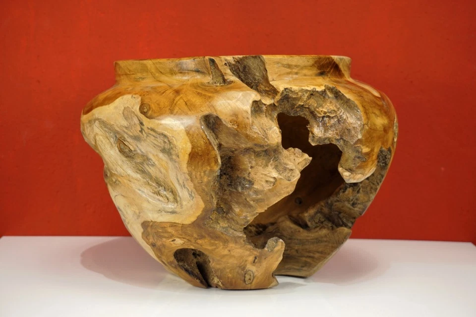 Holz Übertopf Wurzelholz Blumentopf Teak Schale Orchideen Topf Dekoration Schale - Bild 3 von 4