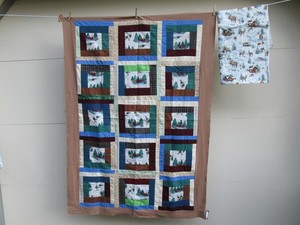 Flannel Quilt Top & Back - Backwoods, Canoe, Cabin, Deer - 42" x 52"
