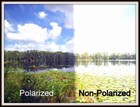 Foto 2 di 20
