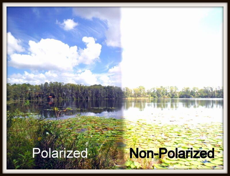 Foto 2 di 20