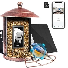 Bird Feeder with Camera Wireless Outdoor, Smart Bird Feeder Solar Powered, Gold