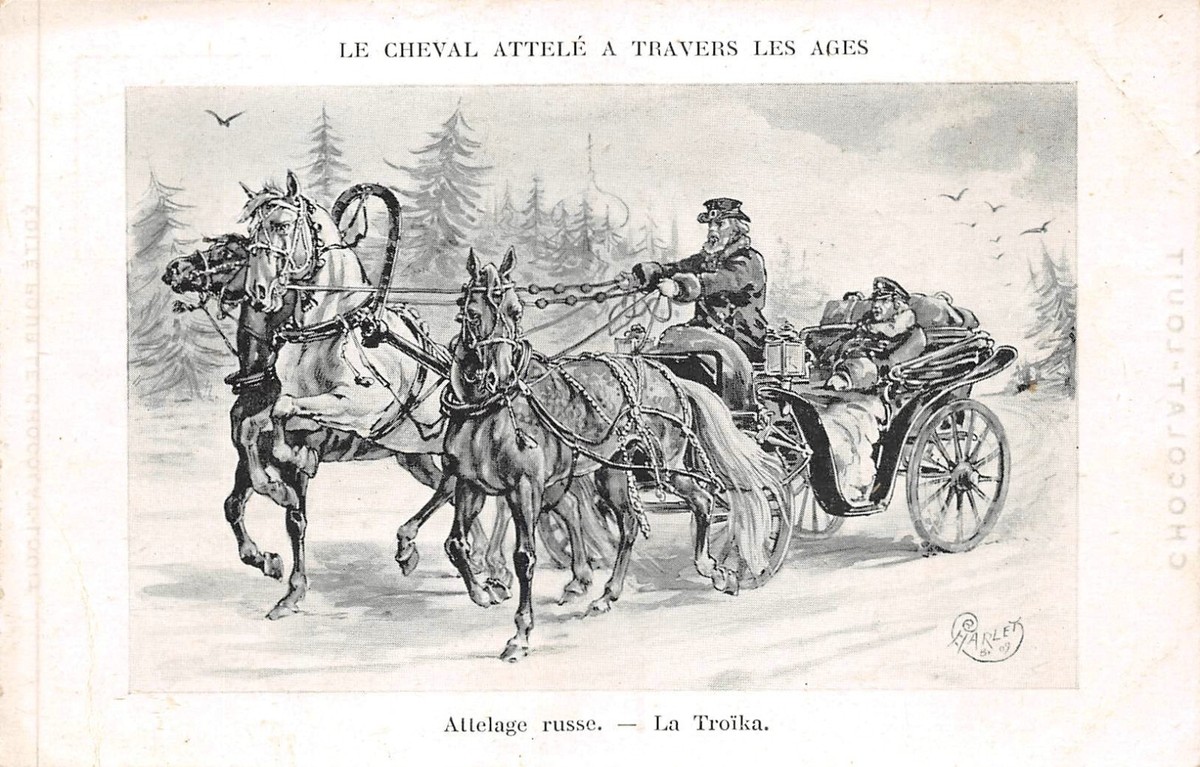 CPA RUSSIE TYPES Russes Au Village Attelage EUR 20,00 - FR