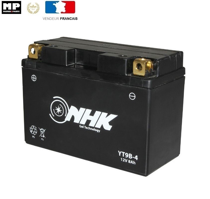 Batterie moto YT9B-BS au gel prête à l'emploi pour Yamaha YFM 700 R Raptor