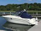 2007 Sea Ray Amberjack 290