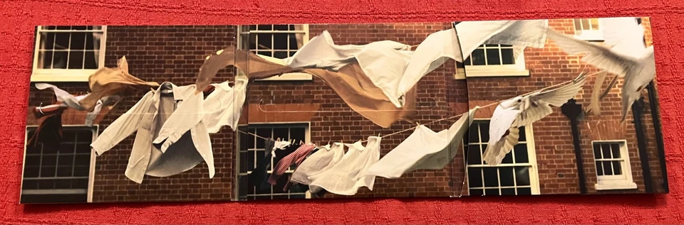 KATE BUSH - CD X 2 IN STICKERED TRI-FOLD CARD SLEEVE - AERIAL — 第 2/4 张图片