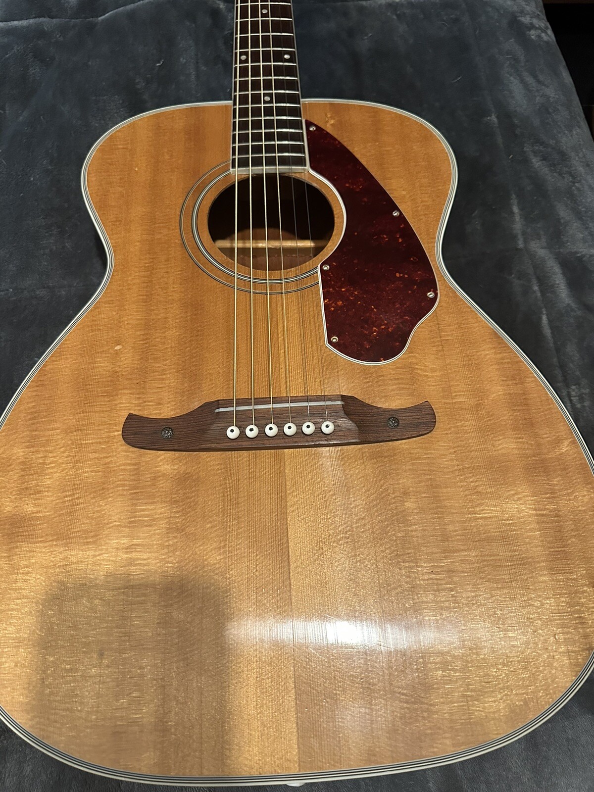 Vintage Fender Acoustic Guitar F1050 eBay
