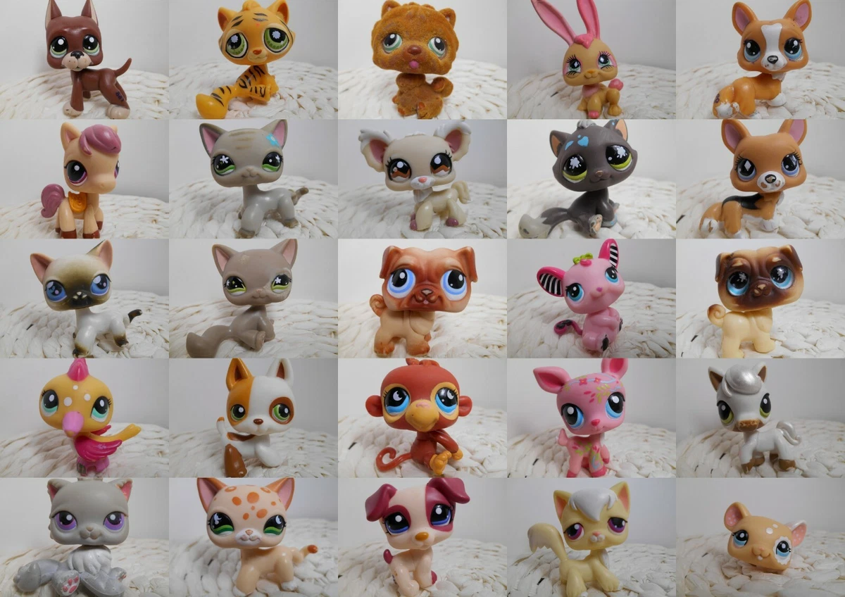 Littlest Petshop LPS chat europeen 886 cat european Authentic #geektradelpschat : Achat occasion | Figurines Hasbro Bon état