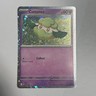 Cottonee #18 Pokemon Promo MEP Mega Evolution /NM