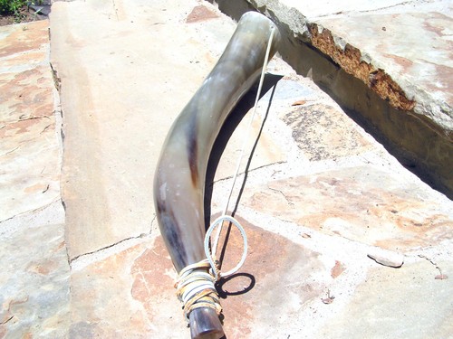 Western Cowboy Bugle Horn 1202 - Picture 9 of 12