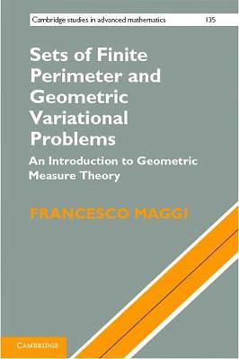 Sets of Finite Perimeter and Geometric Variational Problems: An Introduction to 
