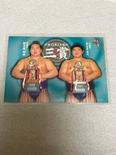 BBM 2002 83 Asashoryu Koto Mitsuki Grand Sumo Card May 2013 Place 3 Prize