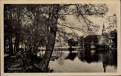 PULSNITZ um 1940  Sachsen alte Postkarte Bäume Partie am Schloßteich s/w AK