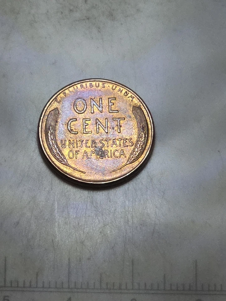 1955 Lincoln Wheat Cent with Obverse L on Rim US Mint Coin - Image 3 of 3