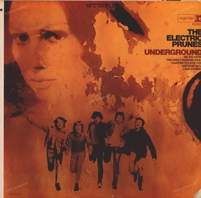 The Electric Prunes - Underground USA LP 1967 (VG+/VG) RS-6262 .