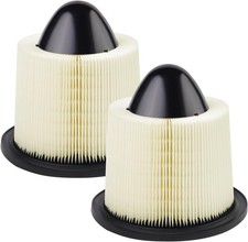 Confezione 2 Filtri Aria Motore Adatto per Ford Serie F 4.6L 1997-2008, 5.4L 1997-2003