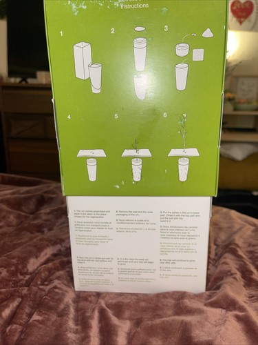 BIOS Biodegradable Pet Urn for pets - Picture 4 of 8