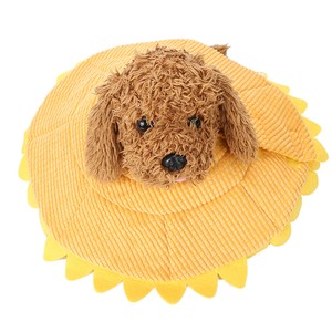sunflower dog cone
