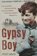 Gypsy Boy - Paperback By Mikey Walsh - GOOD
