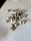 civil war bullets lot