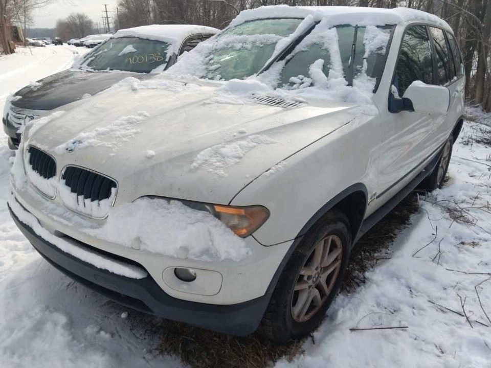 Panel de moldura de puerta trasero X5 2005 12193 Foto 3 de 4