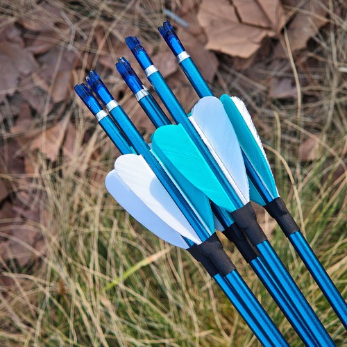 31" Pure Carbon Arrow SP400-1000 ID4.2mm Turkey Feather RecurveBow Shooting Hunt - Picture 11 of 23