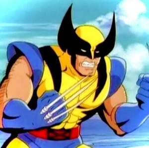 Marvel Legends Wolverine Tiger Stripe Animated Red Hulk Series Hasbro 6 Figure Ebay