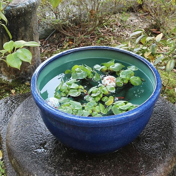 Shigaraki Ware 15-Go Ceramic Water Basin for Goldfish/Medaka