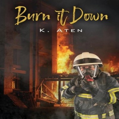 Burn It Down K Aten Paperback Flashpoint Publications