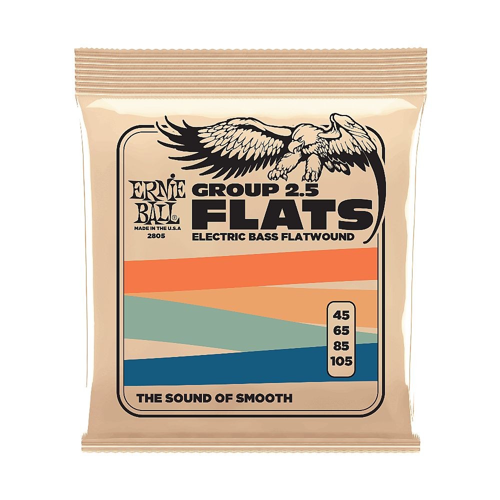 Ernie Ball Flatwound Stainless Steel Wrap Bass Strings (.045 - .105 Group 2.5)