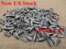 US Ship Art Ai Weiwei Yixing Porcelain Sunflower Seeds 100pcs Decoration Gift