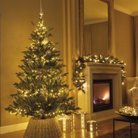 Led Baummantel Lichterkette 1-2 Glow 8 SträNge 880LED H: 2,4M Timer FüR AußEn